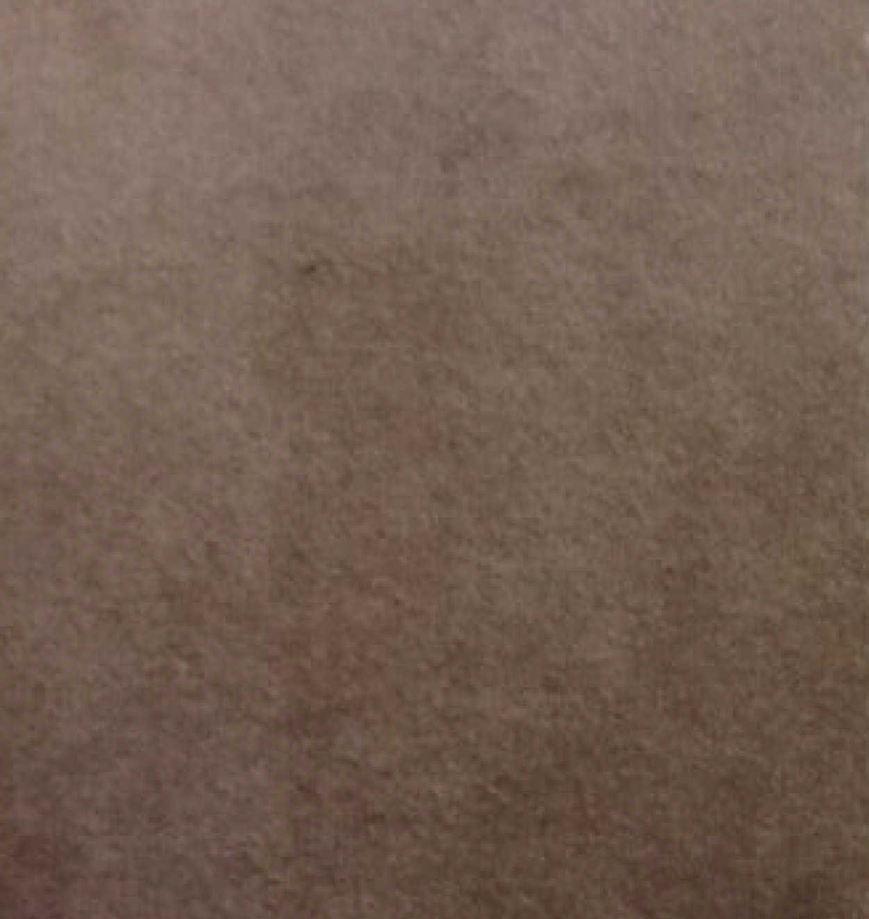 VE03-VELVET-Castoro-1